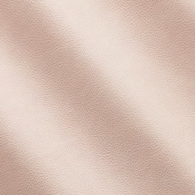 Aligo Group фото